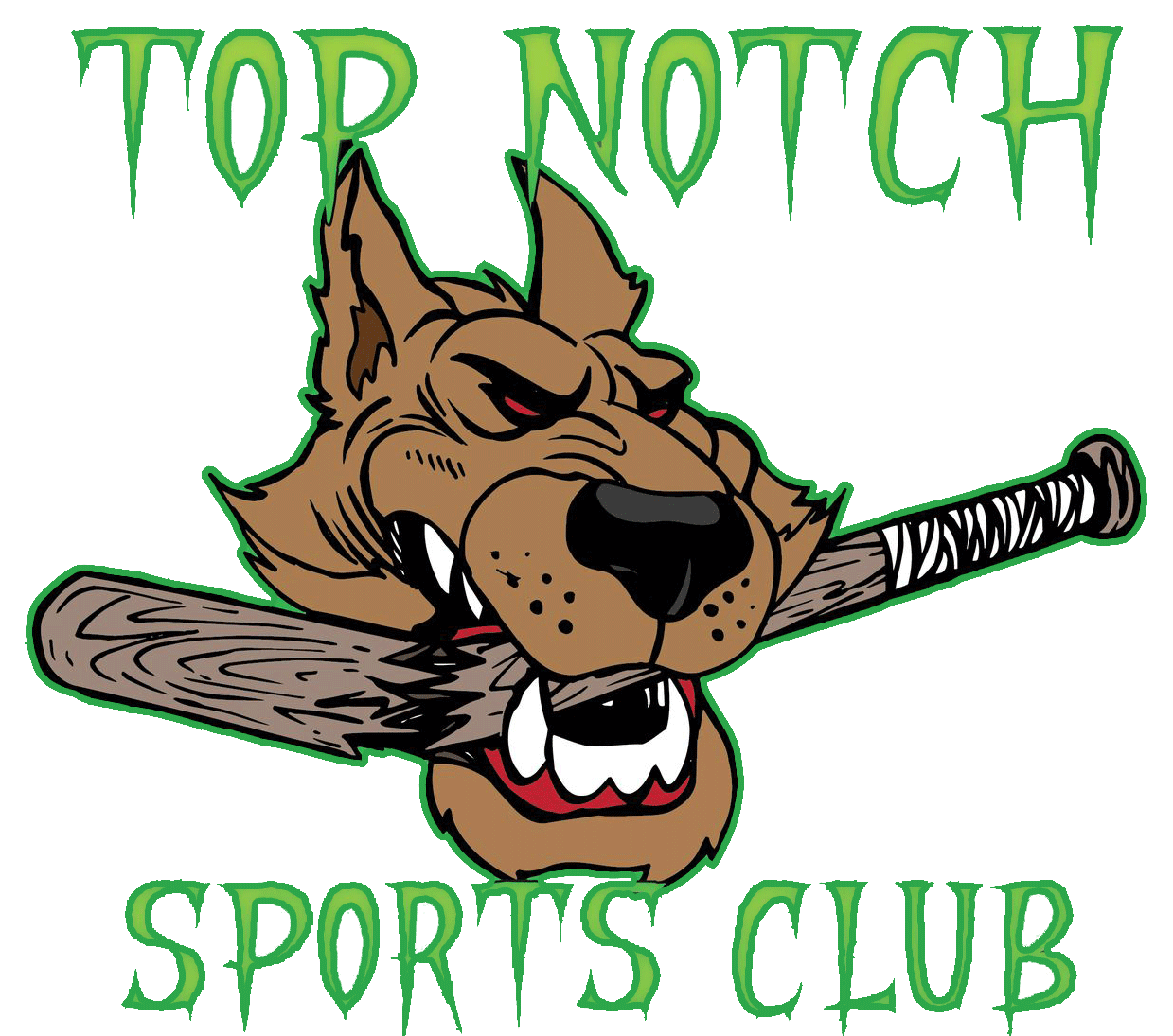 top-notch-sports-logo